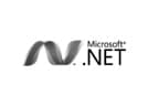 MicroSoft .Net